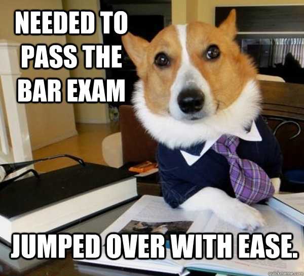 bar exam memes