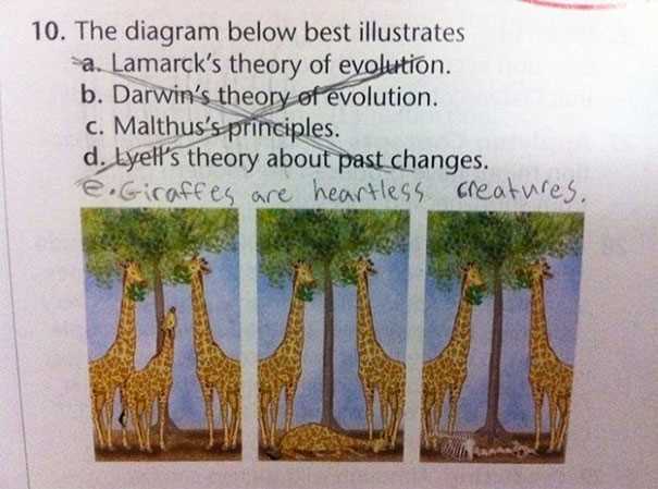 smartass exam answers