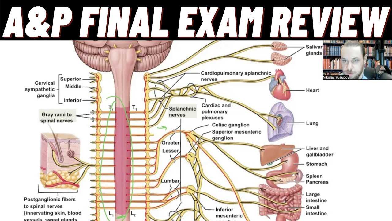 a&p 2 lab exam 1