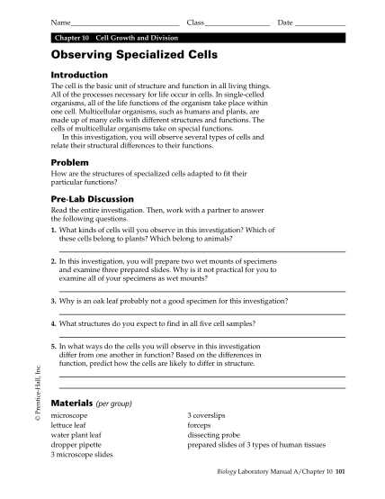 section 10 1 cell growth answer key