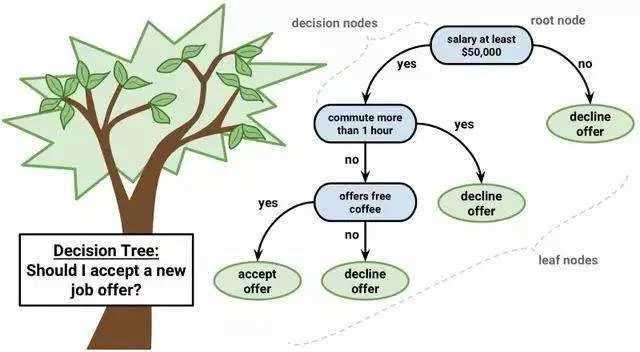 decision tree exam questions and answers