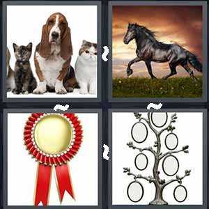 4 pics 1 word level 8 answer