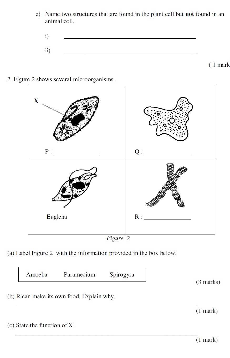 form 1 science exam paper with answer