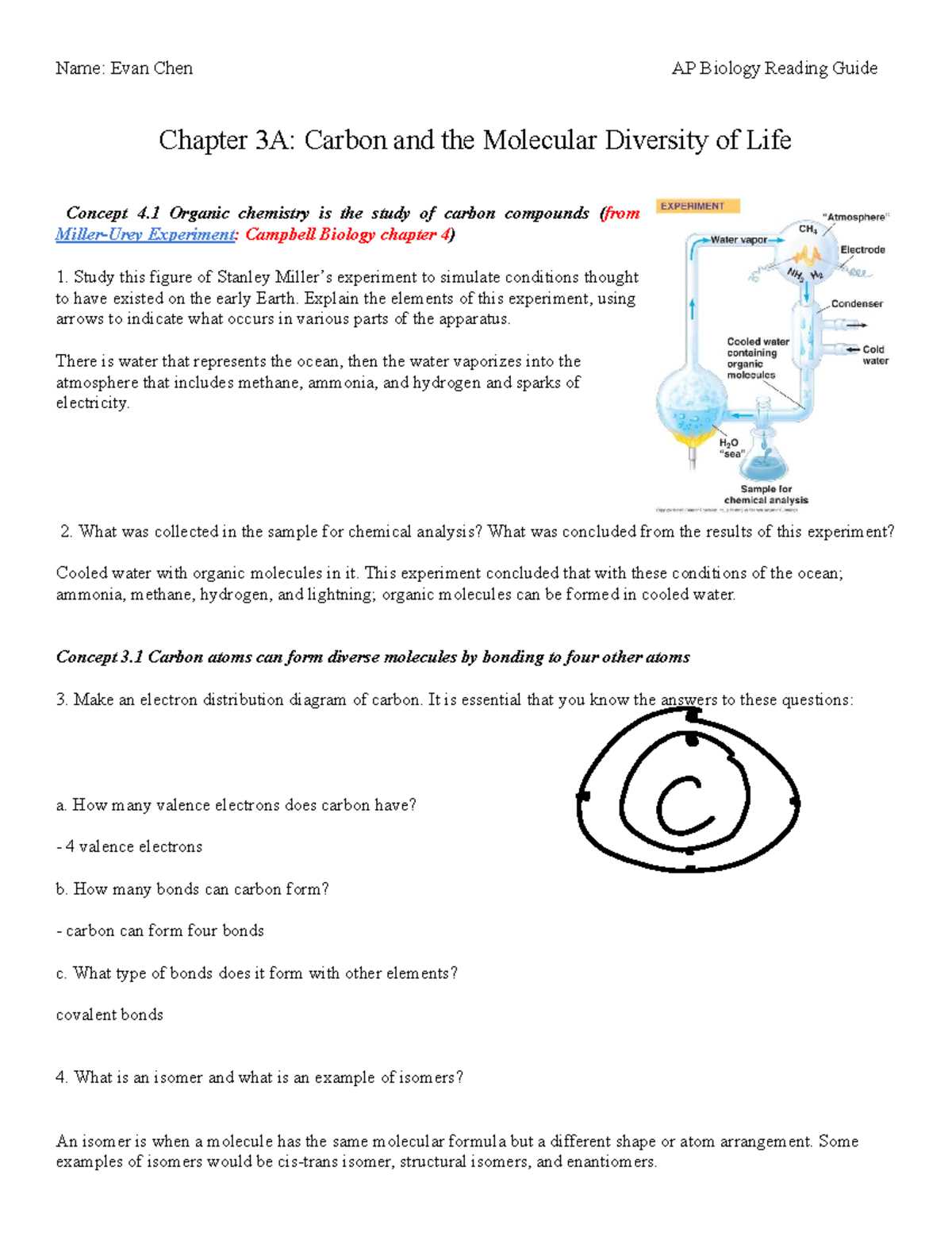 chapter 3 active reading guide carbon and the molecular diversity of life answers