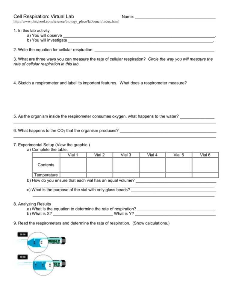 cellular respiration virtual lab answer key phschool