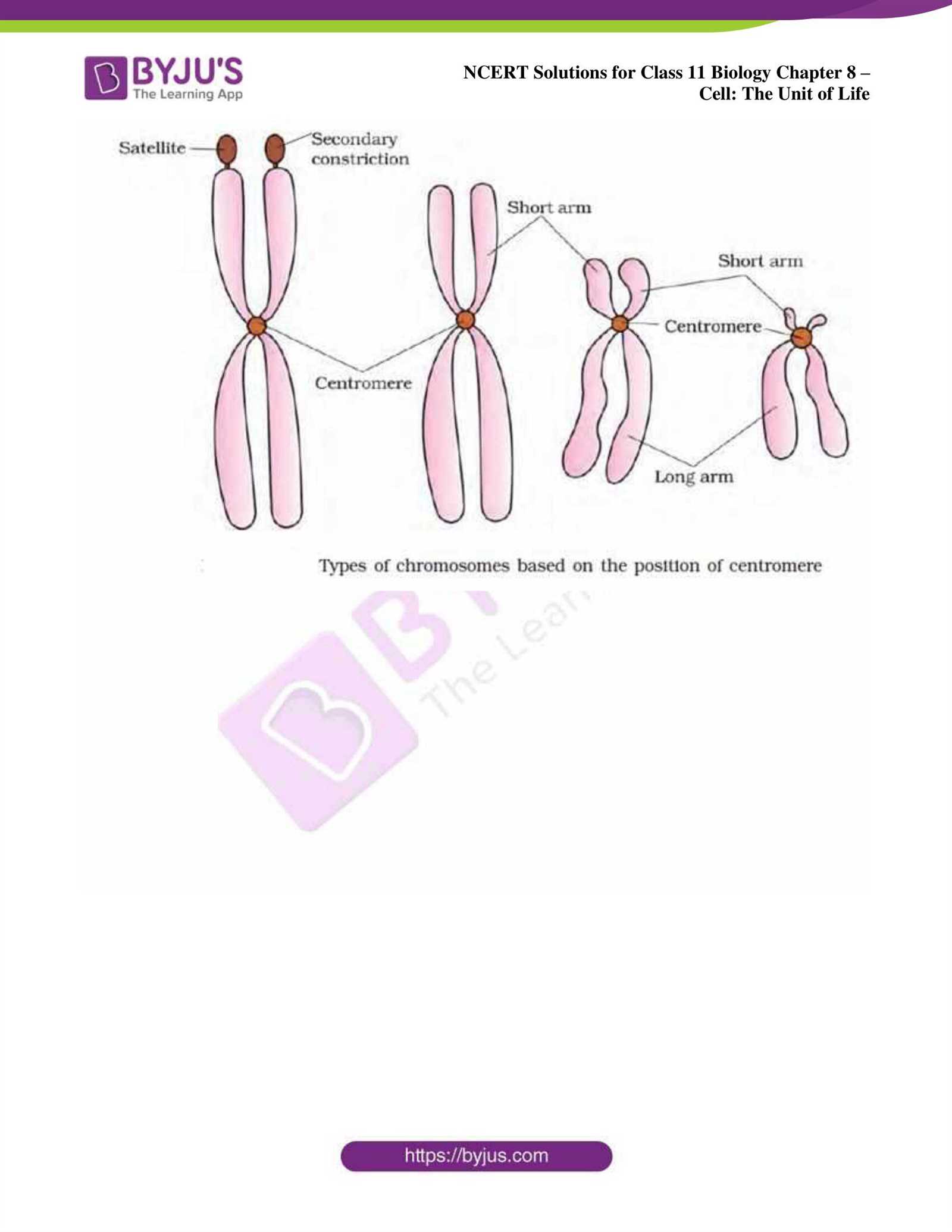 basic unit of life lab answers