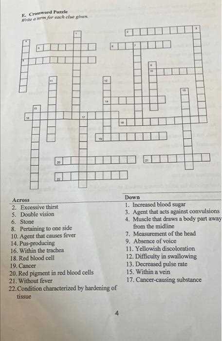 examine thoroughly crossword clue