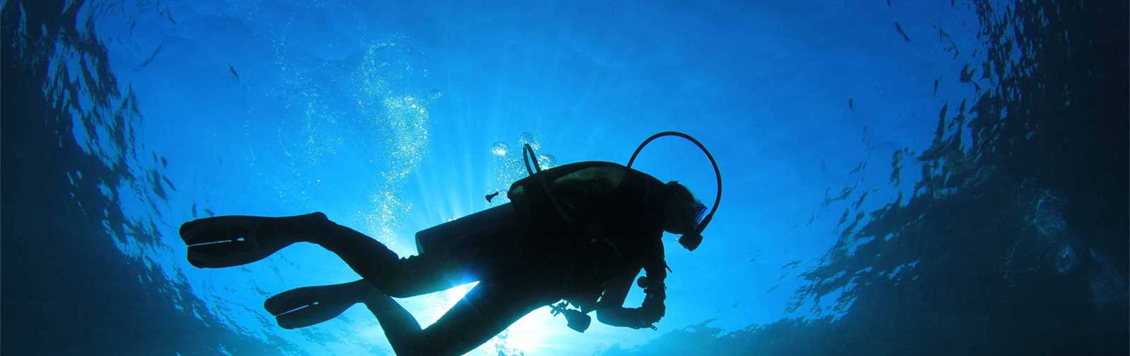 ssi scuba exam answers