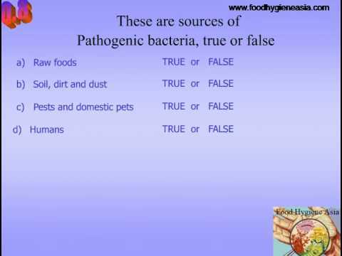 food safety practice test questions and answers