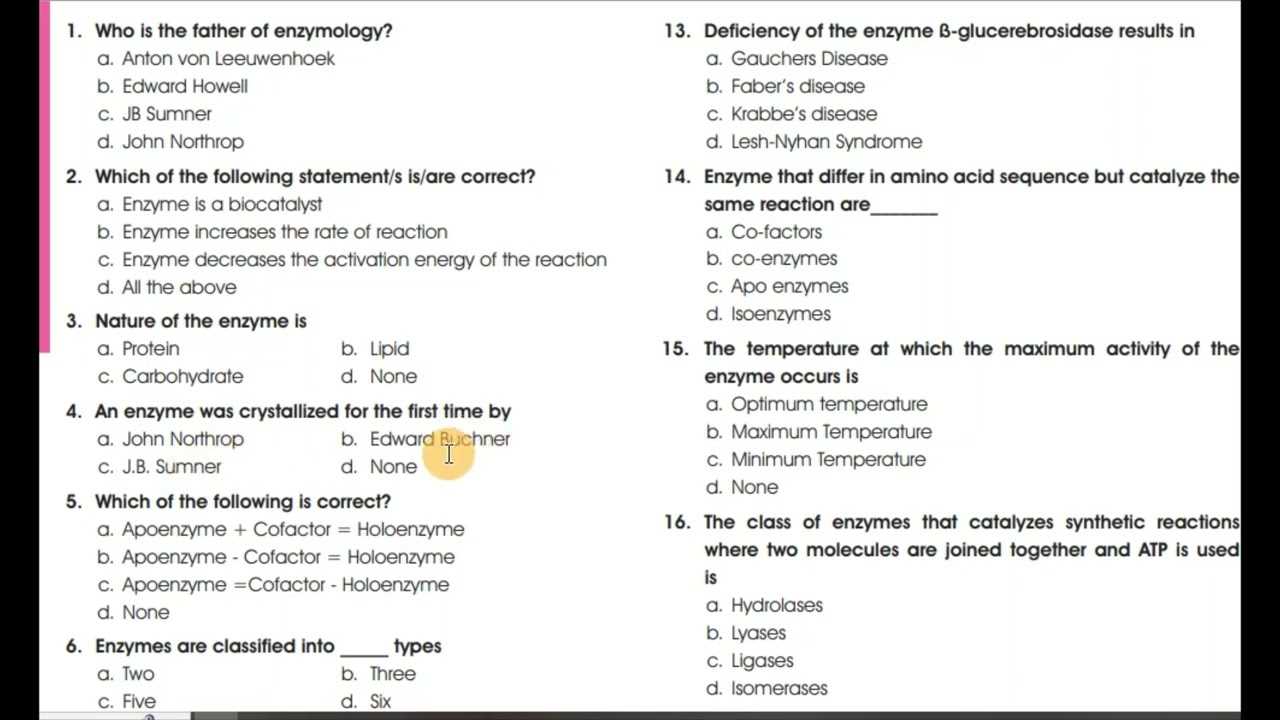 enzymes exam questions and answers