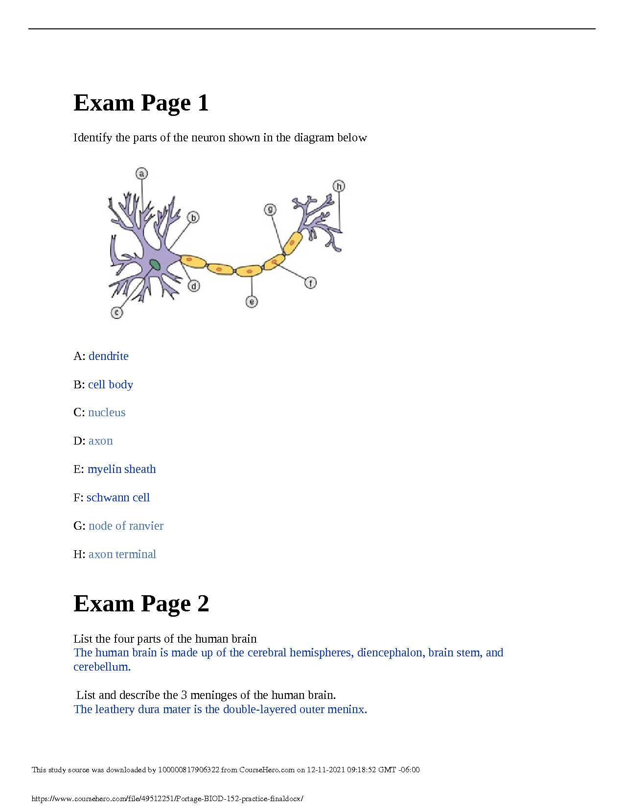 biology lab final exam answers