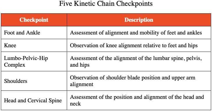answers to ace personal trainer exam