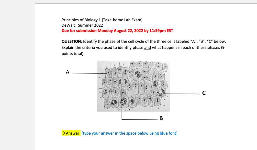 biology lab final exam answers