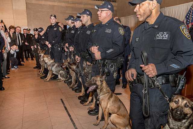 when is the next mta police exam